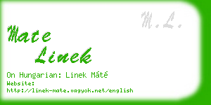 mate linek business card