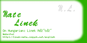mate linek business card